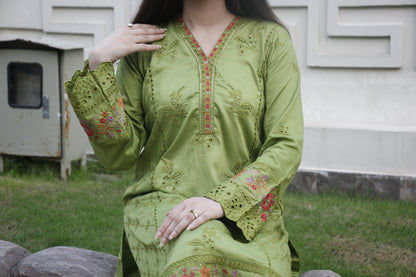 Parrot green Embroidered linen 2 Piece Stitched Suit